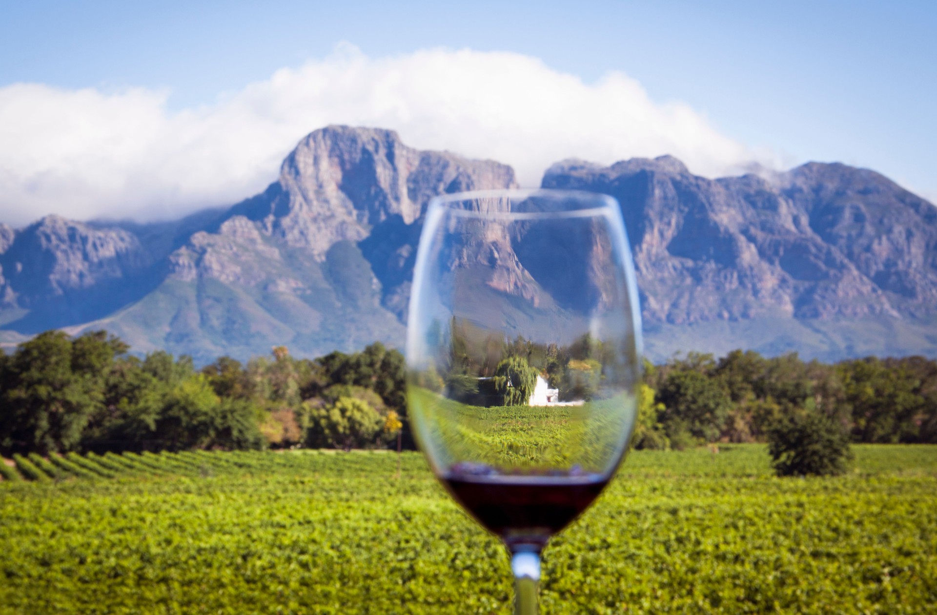South African Wine Country